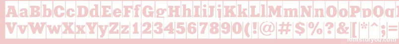 Xeniacameoc Font – White Fonts on Pink Background