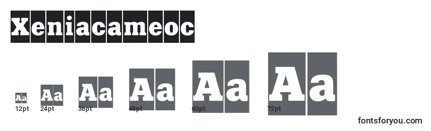 Xeniacameoc Font Sizes