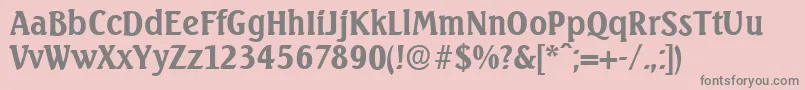 SeagullserialBold Font – Gray Fonts on Pink Background