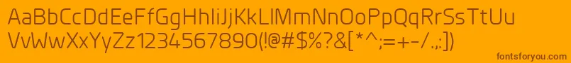 PlanerRegular Font – Brown Fonts on Orange Background