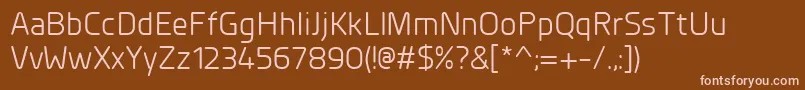 PlanerRegular Font – Pink Fonts on Brown Background