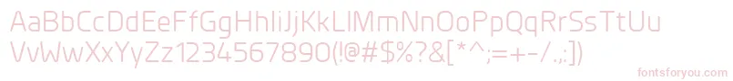 PlanerRegular Font – Pink Fonts