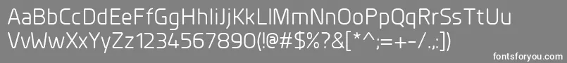Шрифт PlanerRegular – белые шрифты на сером фоне