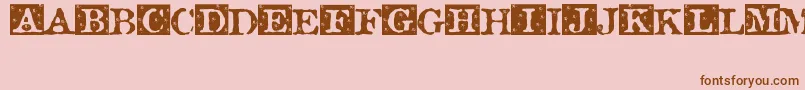 Rosebud ffy Font – Brown Fonts on Pink Background