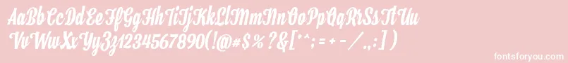 Hamster Font – White Fonts on Pink Background