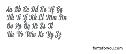 Обзор шрифта Hamster