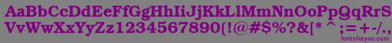 Шрифт BookmanItcDemiBt – фиолетовые шрифты на сером фоне