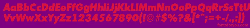 MontrealserialHeavyItalic Font – Red Fonts on Purple Background
