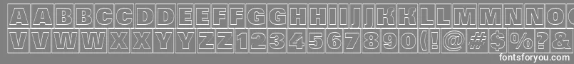 AGrotictitulcmotlhv Font – White Fonts on Gray Background