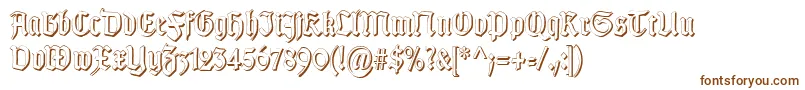 TypographergotischSchattenS Font – Brown Fonts