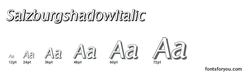 Размеры шрифта SalzburgshadowItalic