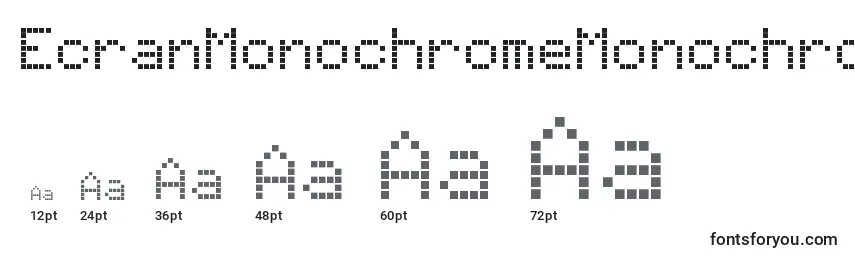 EcranMonochromeMonochromeDisplay Font Sizes