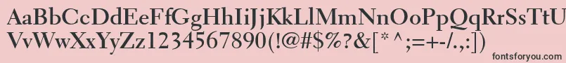 ElectraltstdBold Font – Black Fonts on Pink Background