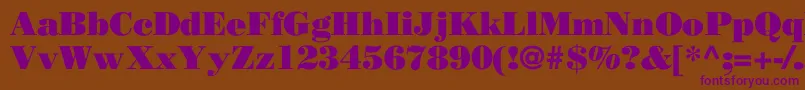 OgilvyPoster Font – Purple Fonts on Brown Background