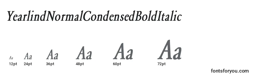 Размеры шрифта YearlindNormalCondensedBoldItalic