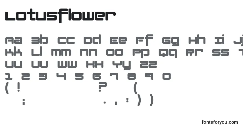 A fonte Lotusflower – alfabeto, números, caracteres especiais
