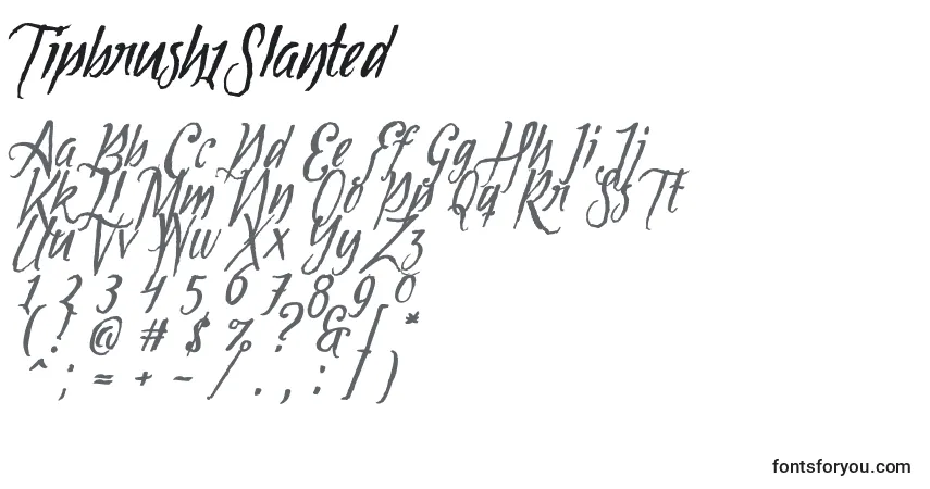 Czcionka Tipbrush1Slanted – alfabet, cyfry, specjalne znaki