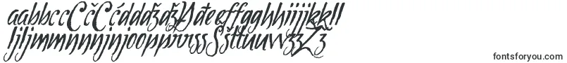 Tipbrush1Slanted Font – Bosnian Fonts