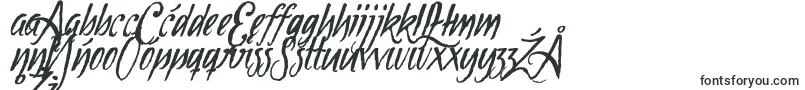 Tipbrush1Slanted Font – Polish Fonts