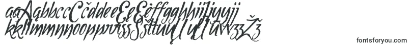 Tipbrush1Slanted Font – Lithuanian Fonts
