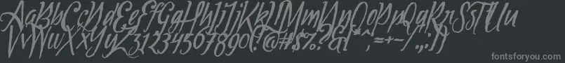 Tipbrush1Slanted Font – Gray Fonts on Black Background