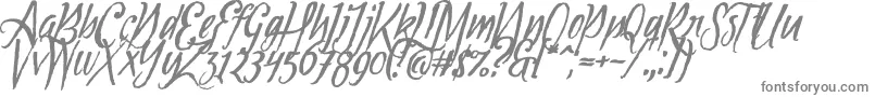 Tipbrush1Slanted Font – Gray Fonts on White Background