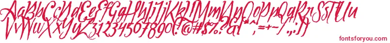 Tipbrush1Slanted Font – Red Fonts on White Background
