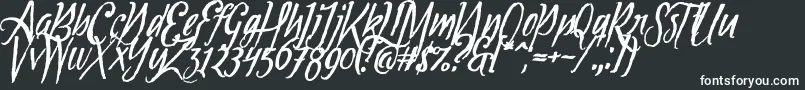 Tipbrush1Slanted Font – White Fonts on Black Background