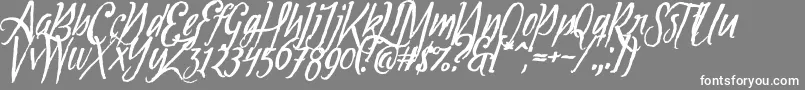 Tipbrush1Slanted Font – White Fonts on Gray Background