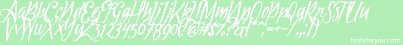 Tipbrush1Slanted Font – White Fonts on Green Background