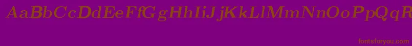 CmRomanBoldslantedext Font – Brown Fonts on Purple Background