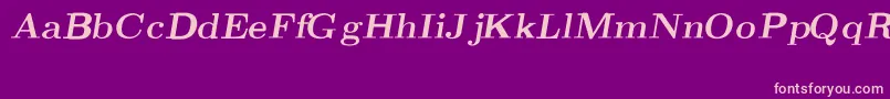 CmRomanBoldslantedext Font – Pink Fonts on Purple Background