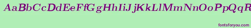 CmRomanBoldslantedext Font – Purple Fonts on Green Background