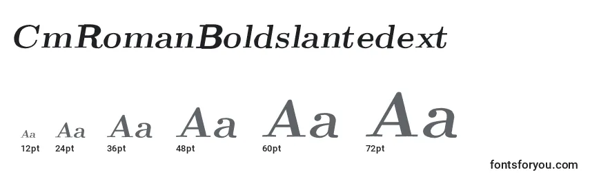 CmRomanBoldslantedext Font Sizes