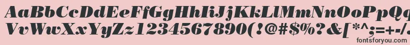 BodoniLtPosterItalic Font – Black Fonts on Pink Background