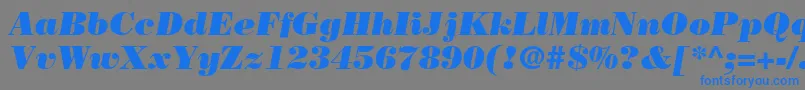 BodoniLtPosterItalic-Schriftart – Blaue Schriften auf grauem Hintergrund