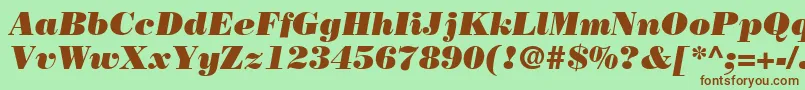 BodoniLtPosterItalic Font – Brown Fonts on Green Background