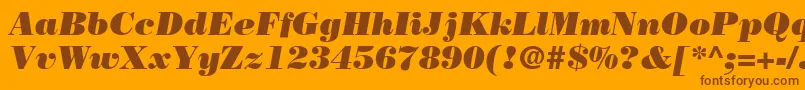 BodoniLtPosterItalic Font – Brown Fonts on Orange Background