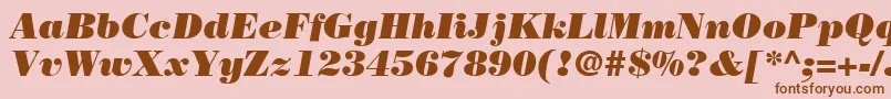 BodoniLtPosterItalic Font – Brown Fonts on Pink Background
