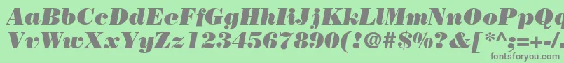 Fonte BodoniLtPosterItalic – fontes cinzas em um fundo verde