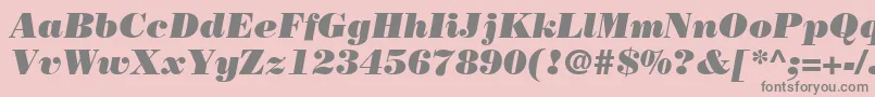 BodoniLtPosterItalic Font – Gray Fonts on Pink Background