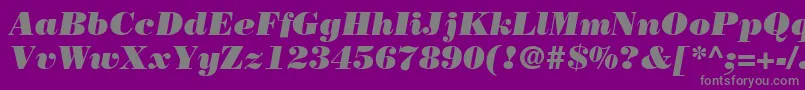 BodoniLtPosterItalic Font – Gray Fonts on Purple Background