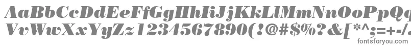 BodoniLtPosterItalic-fontti – harmaat kirjasimet valkoisella taustalla