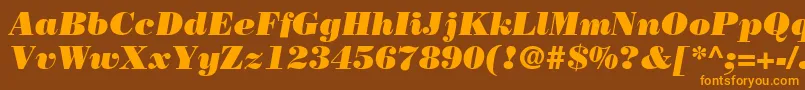 BodoniLtPosterItalic Font – Orange Fonts on Brown Background