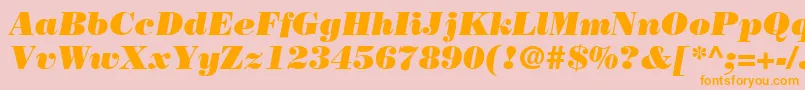 BodoniLtPosterItalic-Schriftart – Orangefarbene Schriften auf rosa Hintergrund