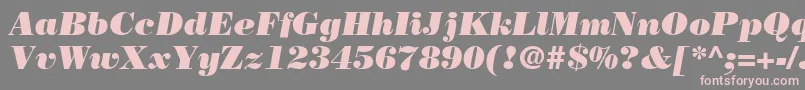 BodoniLtPosterItalic Font – Pink Fonts on Gray Background