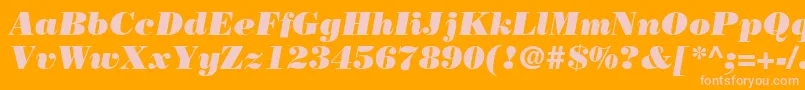 BodoniLtPosterItalic Font – Pink Fonts on Orange Background