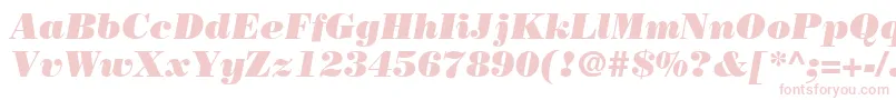 BodoniLtPosterItalic Font – Pink Fonts