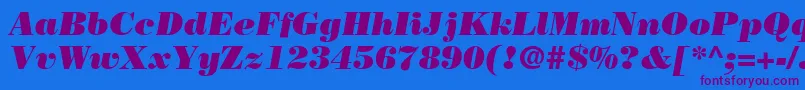 BodoniLtPosterItalic Font – Purple Fonts on Blue Background