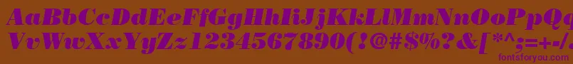 BodoniLtPosterItalic Font – Purple Fonts on Brown Background